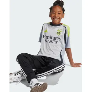 Comparateur de prix : Adidas Maillot Training enfant Benfica Lisbonne 2024/25 Gris 7/8 ans JJ5129