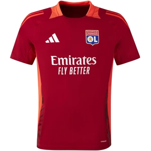 Comparateur de prix : adidas Maillot OL Tiro 2024/25 rouge S