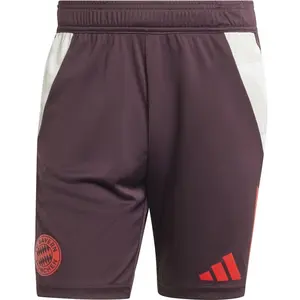 adidas Short d'entraînement FC Bayern Tiro 24 - Bordeaux, Bordeaux XS pas cher