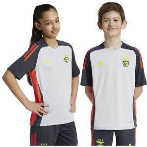 Comparateur de prix : adidas Enfant SLB Benfica Training 2024-2025 gris 15-16 ans