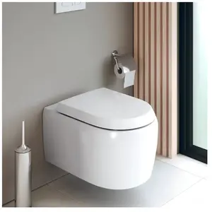 Duravit Qatego Cuvette suspendue L: 57 l: 38,5 cm, 2583090000, pas cher