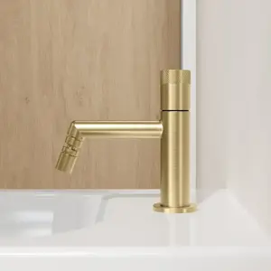 rivea Bahri Mitigeur de bidet, BR2102BG, pas cher