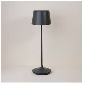 Ecolumeo Indawo Lampe de table sans fil, LED, BEL00204GYM4D, pas cher