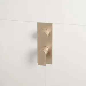 rivea Mitigeur monocommande BR2049BR pas cher
