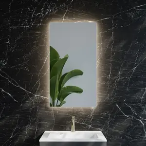 neoro n20 Miroir l : 50 cm, avec éclairage indirect, BN0055MI, pas cher