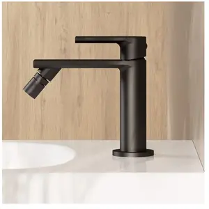 rivea Mitigeur monocommande BR2045MB pas cher