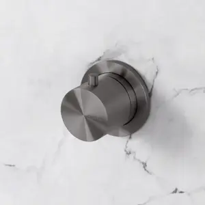neoro Pièces apparentes de mitigeur thermostatique en acier inoxydable, encastrement mural,, BN0543BG, pas cher