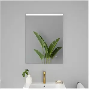 evineo ineo Miroir avec éclairage l : 60 cm, BEA072MI,Vendu parreuter