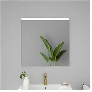 evineo ineo Miroir avec éclairage l : 60 cm, BEA073MI,Vendu parreuter