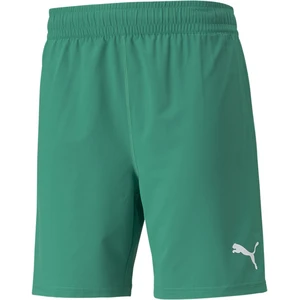 Puma Teamfinal Shorts vert S pas cher