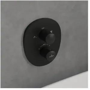 Villeroy & Boch Antao Mitigeur thermostatique, pour bain & douche, TVS111002000K5,