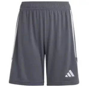Comparateur de prix : Adidas Mixte Enfant Shorts (1/4) Short Tiro 23 League, Team Onix/White, IB8102, 152
