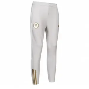 adidas Pantalon d'entraînement Algérie Tiro 23 gris clair XS pas cher