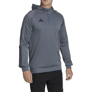 adidas Sweat-shirt à capuche Tiro 23 Competition argent M pas cher