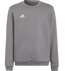 Comparateur de prix : adidas Mixte Enfant Entrada 22 Sweat Top, Team Grey Four, 9-10 Years