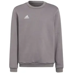 Comparateur de prix : adidas Mixte Enfant Entrada 22 Sweat Top, Team Grey Four, 13-14 Years