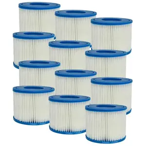 Vhbw - 12x Cartouche filtrante type vi compatible avec Bestway Lay-Z-S...Vendu paramazon