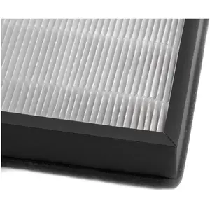 Vhbw - 2x Filtre hepa compatible avec Philips AC3256/10 purificateur d...Vendu paramazon