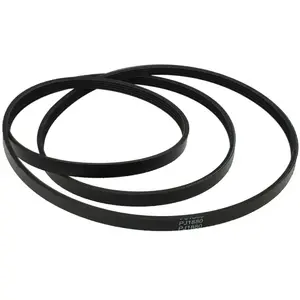 VHBW vhbw Courroie d'entraînement compatible avec Miele PT9136, T284, ... pas cher