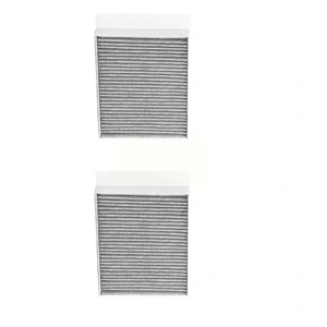 Filtre d'habitacle RIDEX PLUS 424I0503P pas cher