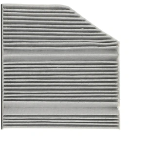 Filtre d'habitacle RIDEX PLUS 424I0616P pas cher