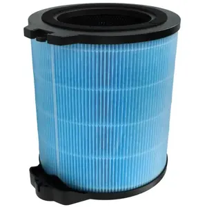 Comparateur de prix : Filtre hepa H12 compatible avec Hoover HHP30C011, h-purifier 300 purif...