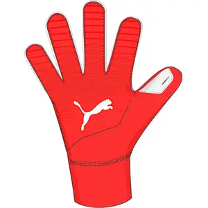 Puma Gants De Gardien De But Future Match Nc pas cher