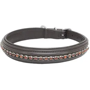 Collier pour chien Kieffer Ultrasoft® Fashion Chain W.Light Brown Ston... pas cher