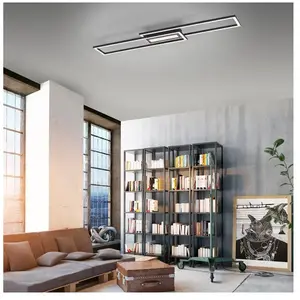 Spring Just Light Asmin Plafonnier LED, 14696-18, pas cher
