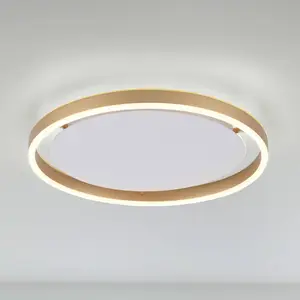 Comparateur de prix : Paul Neuhaus JUST LIGHT. Plafonnier LED Ritus, Ø 39,3cm laiton mat