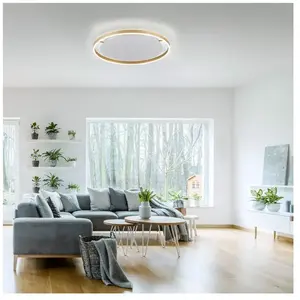 Comparateur de prix : Spring Plafonnier LED, laiton mat, intensité lumineuse variable, D 58,5 cm