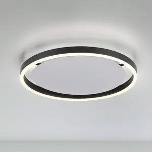 JUST LIGHT. Plafonnier LED Ritus, Ø 39,3cm, anthracite pas cher
