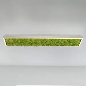 Comparateur de prix : JUST LIGHT. Plafonnier LED Green Knut avec vraie mousse