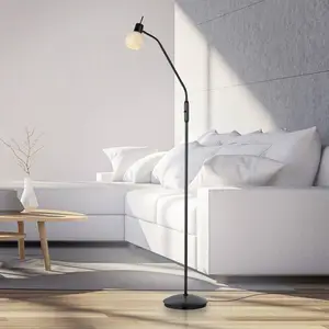 Comparateur de prix : JUST LIGHT. Lampe sur pied Loki, noir, fer, verre