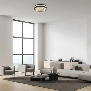 JUST LIGHT HANNI Plafonnier LED blanc chaud 20 W noir 15217-18 pas cher
