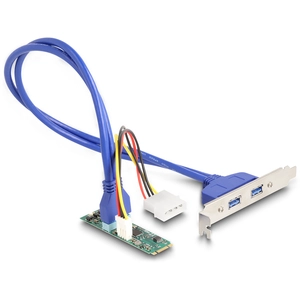 DeLock Adaptateur M.2 Key B+M vers 2x USB 3.0