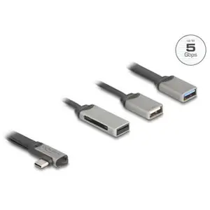 Delock 64303 Hub USB-C / MicroSD pas cher