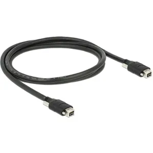 Delock Câble FireWire mâle 9 broches - mâle 9 broches 2 m pas cher
