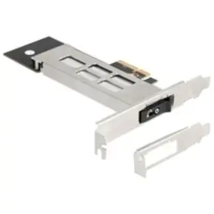 DeLOCK 47028 Carte et Adaptateur d'interfaces Interne M.2 pas cher
