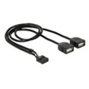 Comparateur de prix : Delock - Adaptateur interne vers externe USB - connecteur USB 10 broches (F) pour USB (F) - 40 cm - noir