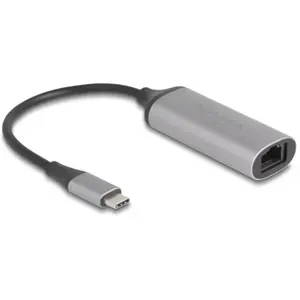 Delock adaptateur USB Type-c vers 5 Gigabit LAN