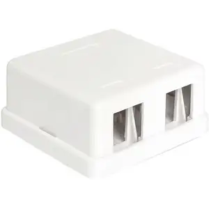 Delock - Panneau de brassage 2 ports 86207 non équipé 1 uh X42081