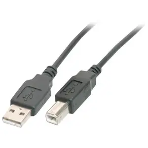 Goobay ENTER-WEB Cable USB 2.0 type A / B male - 1.80m Noir Goodbay