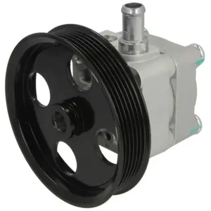 Pompe hydraulique, direction MEYLE-ORIGINAL: True to OE. 5146310025 pas cher