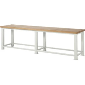 Établi Rau pour charges lourdes L 3000 x P 700 x H 850mm pas cher