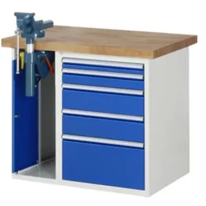 Établi Rau modèle 7511 avec 5 tiroirs et armoire l x p x h 1000x700x84... pas cher