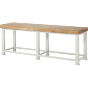 Établi Rau pour charges lourdes L 2500 x P 700 x H 900mm pas cher