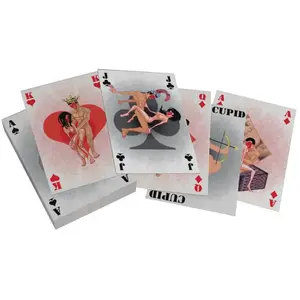 Comparateur de prix : Merkloos / Sans marque Jeu de Cartes Mini G-Kamasutra