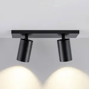 Comparateur de prix : Deko-Light Spot pour plafond CAN TILT, noir, 31 x 9 cm, à 2 lampes, mé...