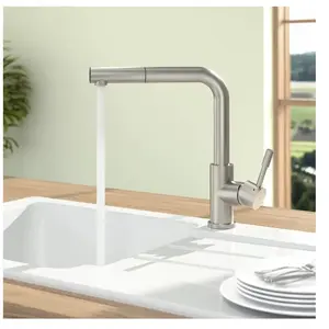 Comparateur de prix : Villeroy&boch - Robinet cuisine villeroy et boch Steel Shower acier massif